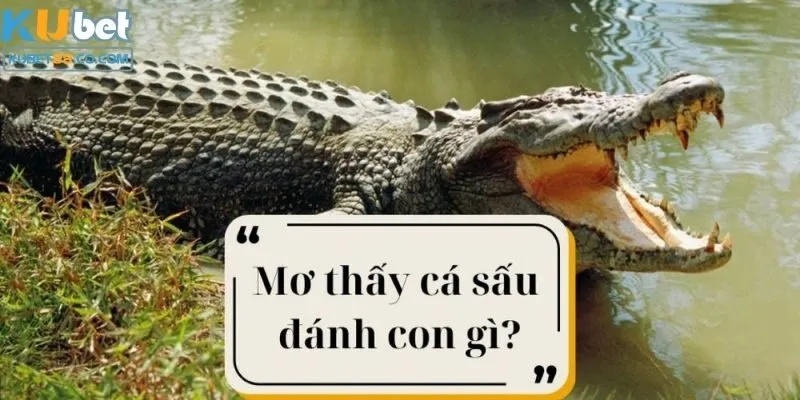 Mơ cá sấu thì nên đánh con số nào? 